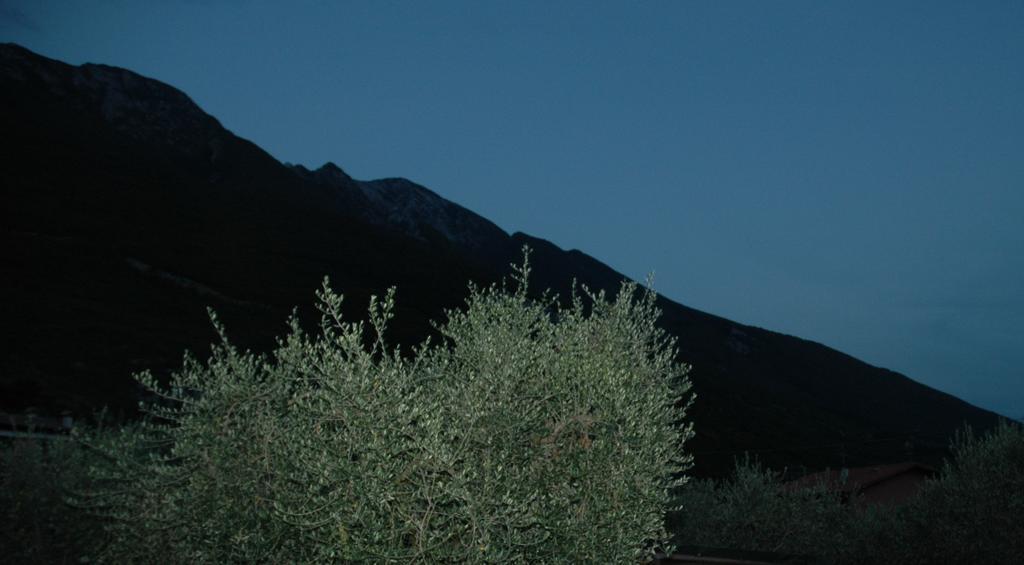 La Corte Di Magu Malcesine Bagian luar foto